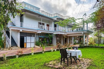 white petals dandeli