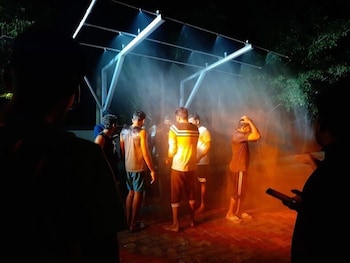 white petals dandeli