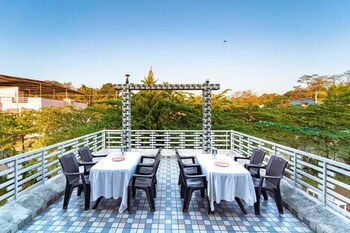 white petals dandeli