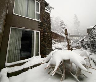 the perch shimla