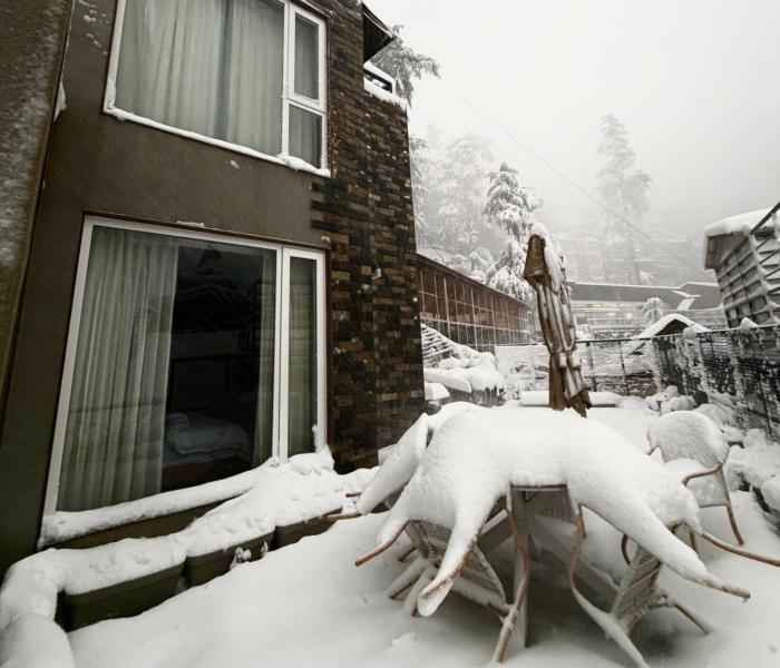 the perch shimla