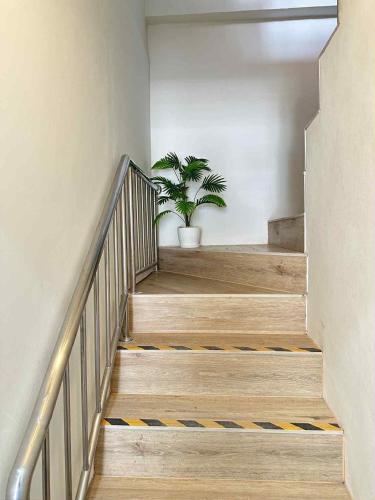 jellyfish residence patong