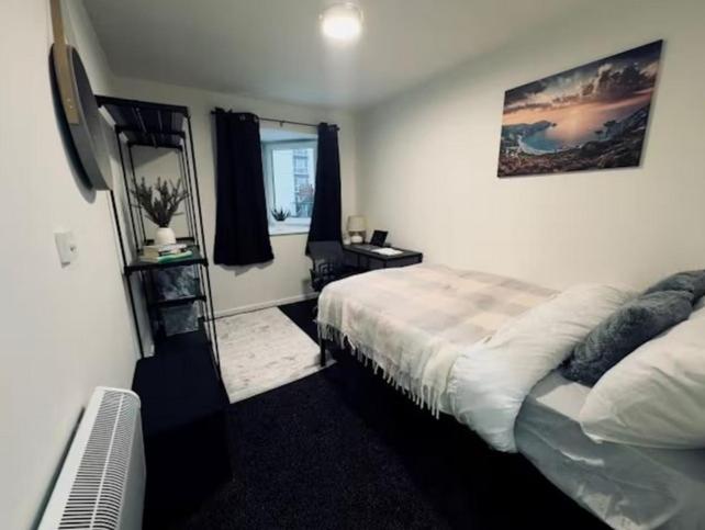 248 halls adults only