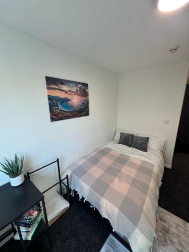 248 halls adults only