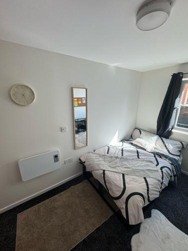 248 halls adults only