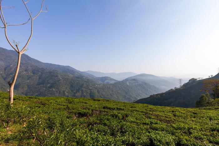 yuletea retreat a premium heritage hotel