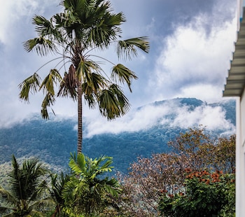 chez nij ryokan onsen