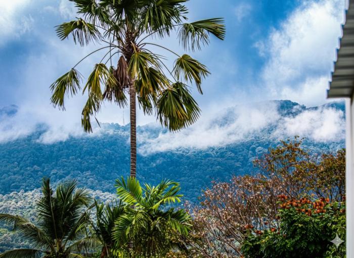 chez nij ryokan onsen