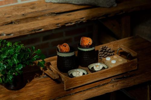 the tribe boutique hotel