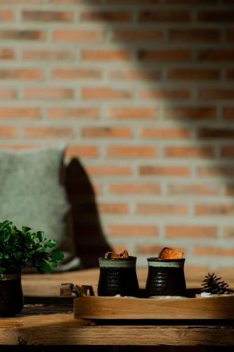 the tribe boutique hotel