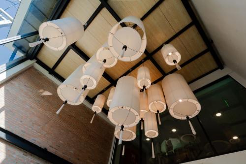 the tribe boutique hotel