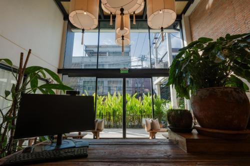 the tribe boutique hotel