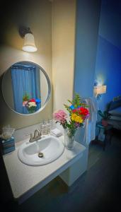nova hotel jfk