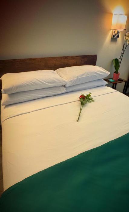 nova hotel jfk