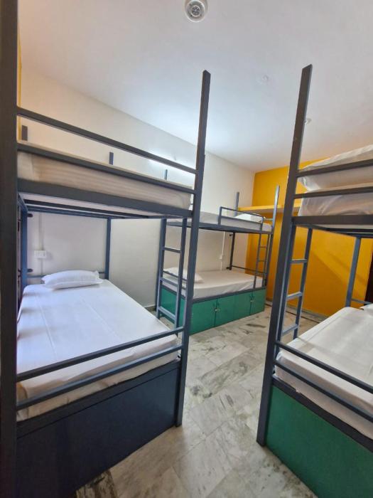 tnc lucknow by the nomad cave hostel