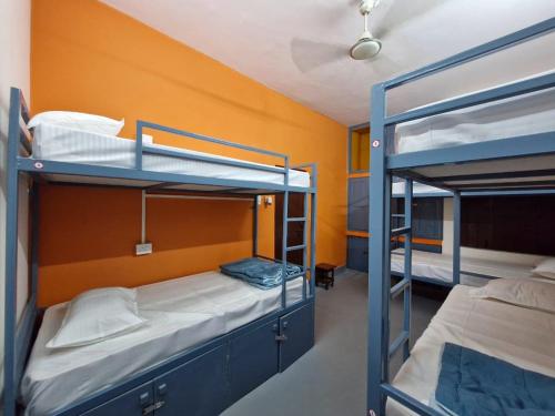 tnc lucknow by the nomad cave hostel