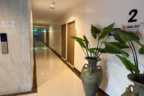 skm paradise mae sai