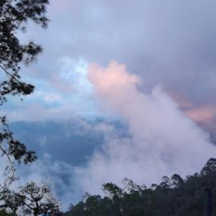 Myrica Groves Lansdowne,,2 star