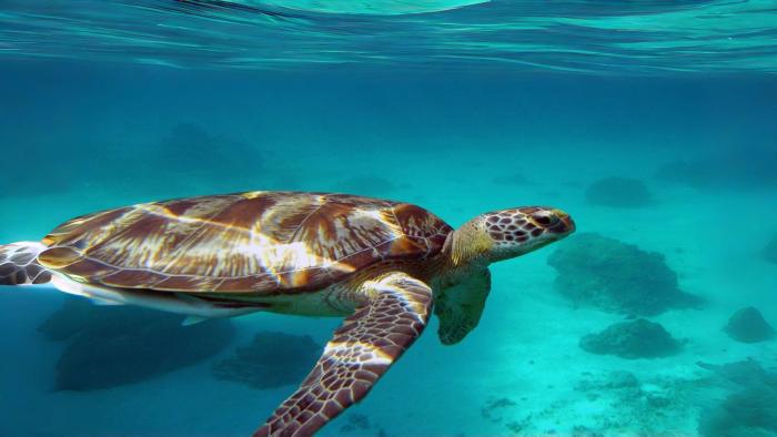 phuket leisure time hotel