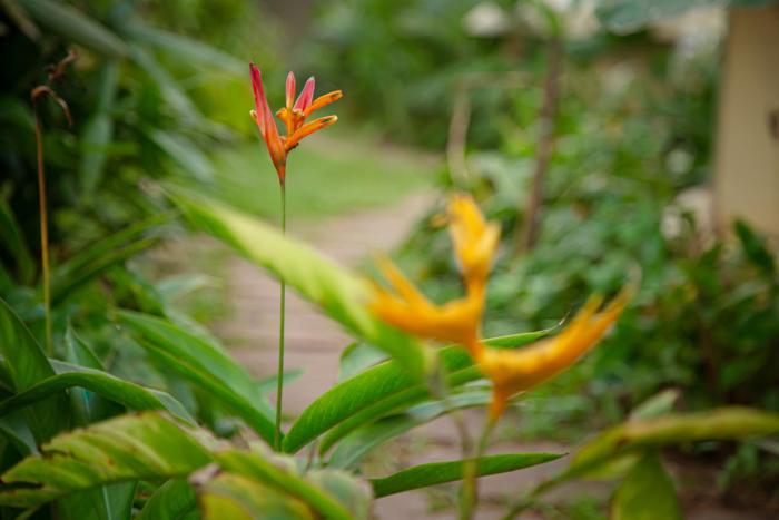 virama gokarna