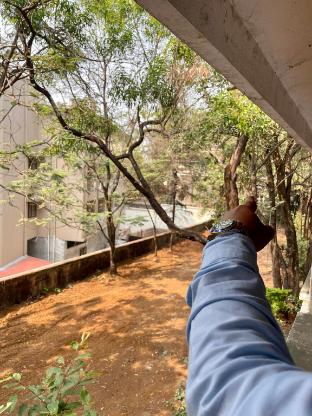 the imperial heritage