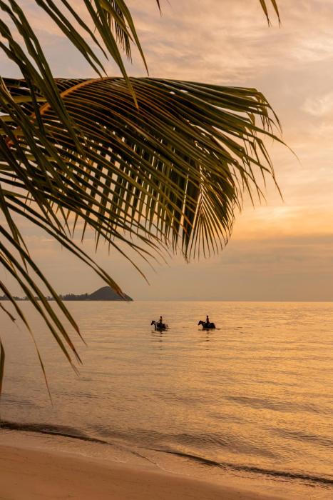 samaraya wellness resort