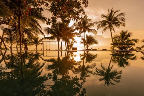 samaraya wellness resort