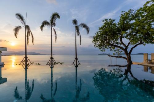 zaya beach club and resort