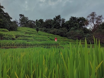 vailankani guest house