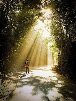 vailankani guest house