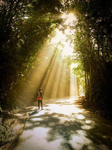 Vailankani Guest House,,2 star