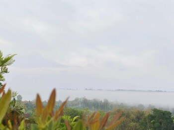 nai suan phan resort