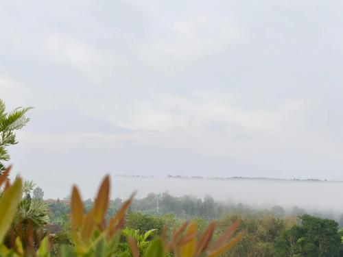nai suan phan resort
