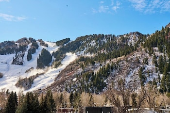 white elephant aspen