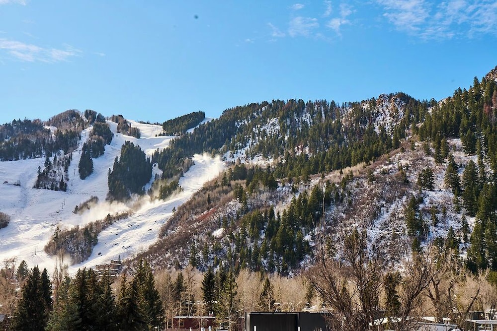 white elephant aspen
