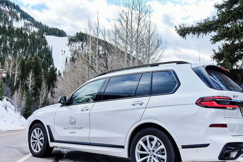 white elephant aspen