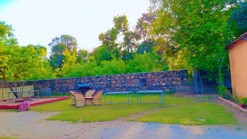 blue tree resort