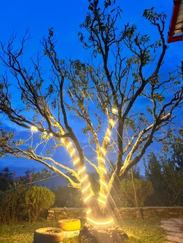 Himalaya View Resort,,3 star