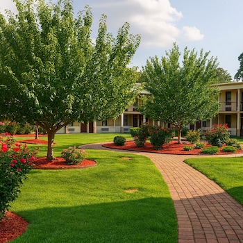 mho hotel dover