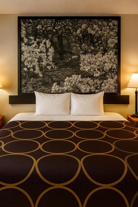 mho hotel dover
