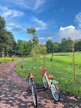 chiang khan