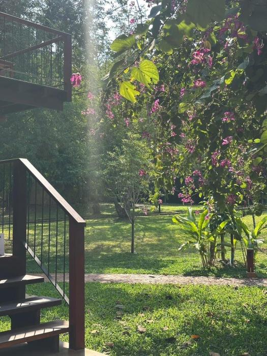 nachan the antique courtyard