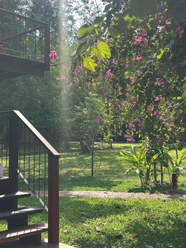 nachan the antique courtyard