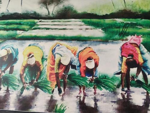 Nirmal Cottage,,2 star