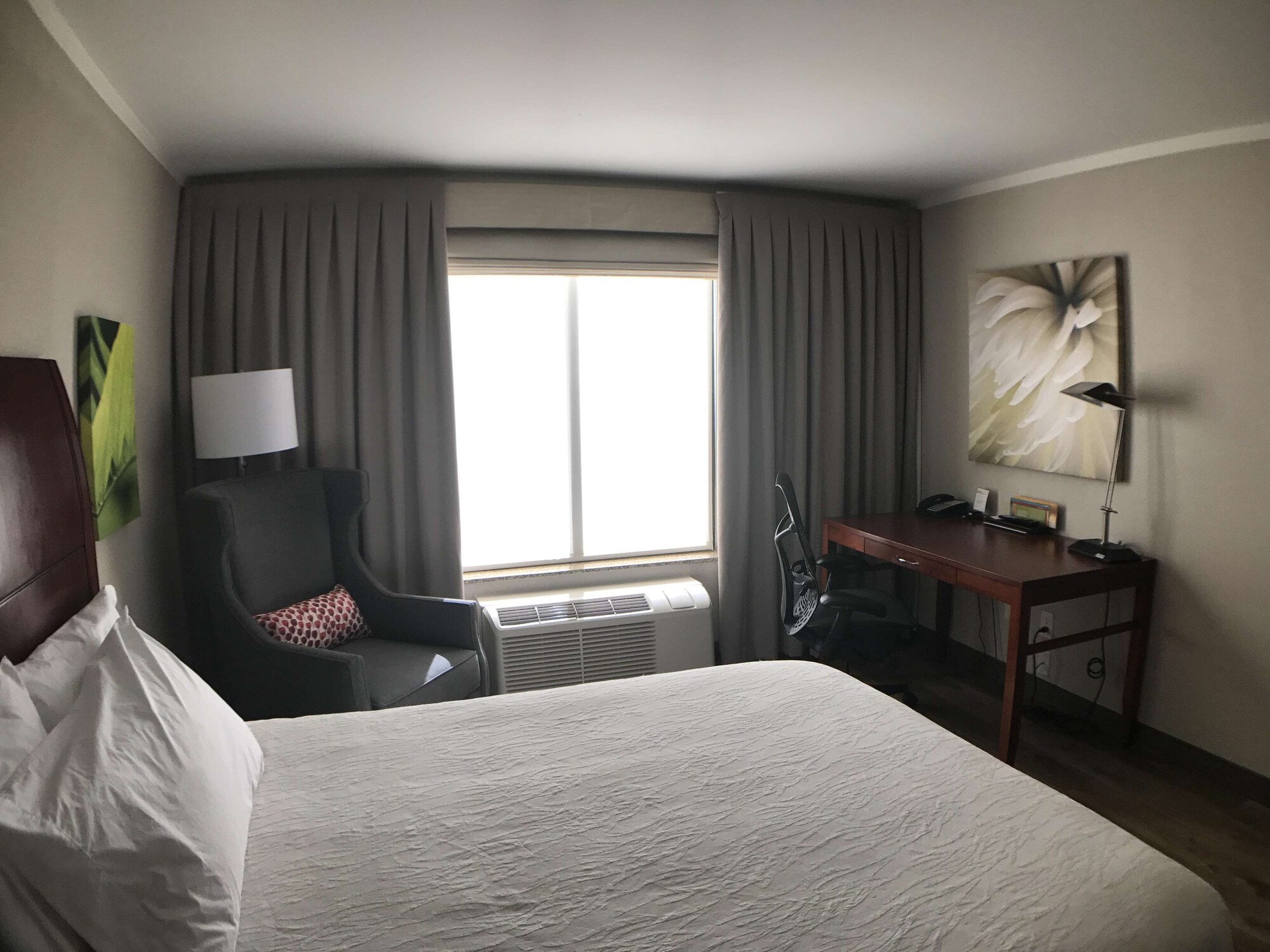 hilton garden inn bowling green