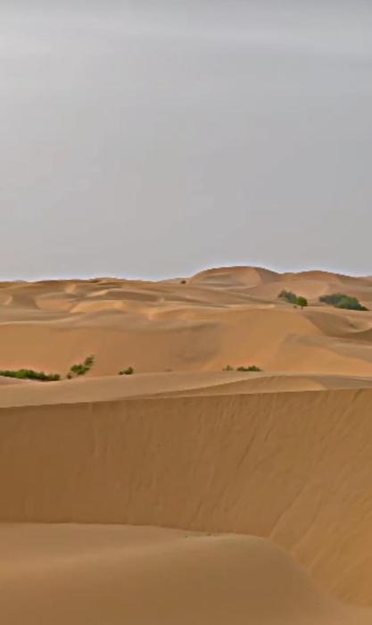 hotel jaswant palace