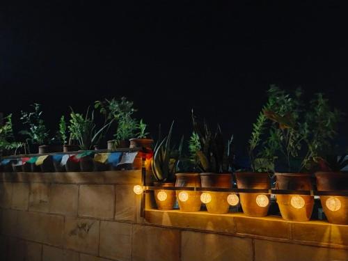 hotel jaswant palace