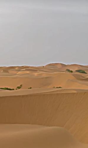 hotel jaswant palace