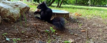 parco dei pini sila wellness hotel