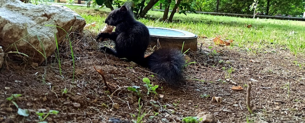 parco dei pini sila wellness hotel